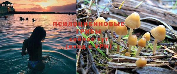 ПСИЛОЦИБИНОВЫЕ ГРИБЫ Алексеевка