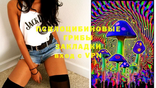 ПСИЛОЦИБИНОВЫЕ ГРИБЫ Алексеевка