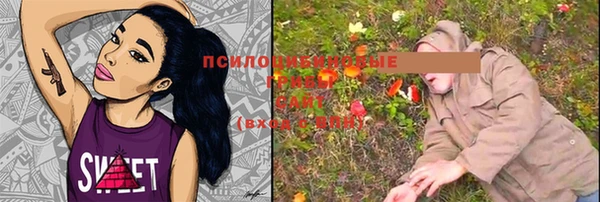МДПВ Алексин